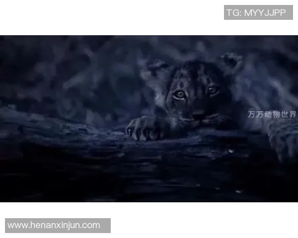 狮王传奇崛起:从青训场到世界足坛的耀眼之星 狮王传奇崛起:从青训场到世界足坛的耀眼之星